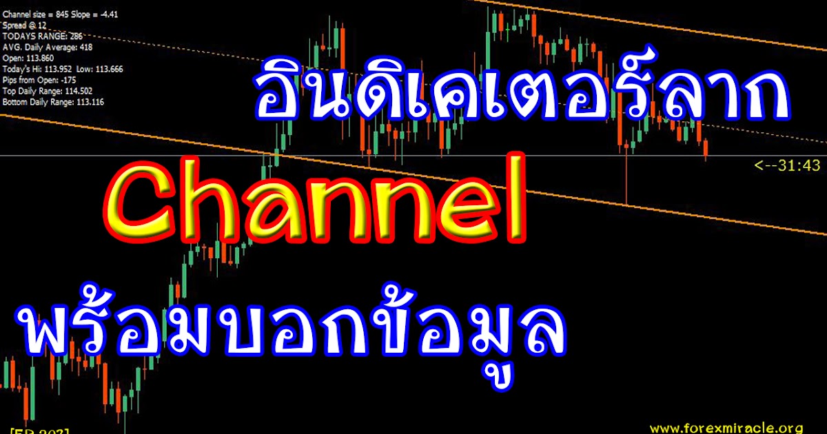 Hotforex pamm system