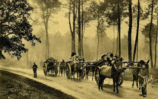 https://paysbasqueavant.blogspot.fr pays basque autrefois