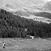Il quadro di Leonardo e l'Alpe di Siusi