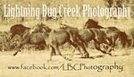 Lightning Bug Creek Photography