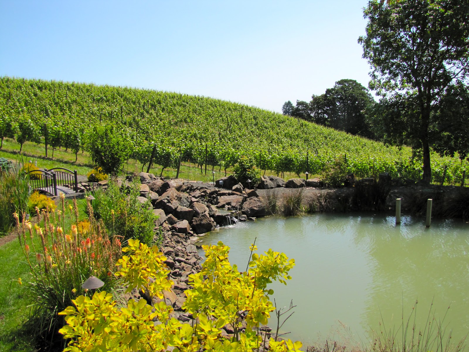 The Oregon Winery Review Pfeiffer Vineyards BurgundianStyle Pinot
