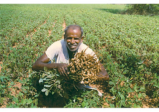 Agricultural insurance in INDIA(BHARAT)