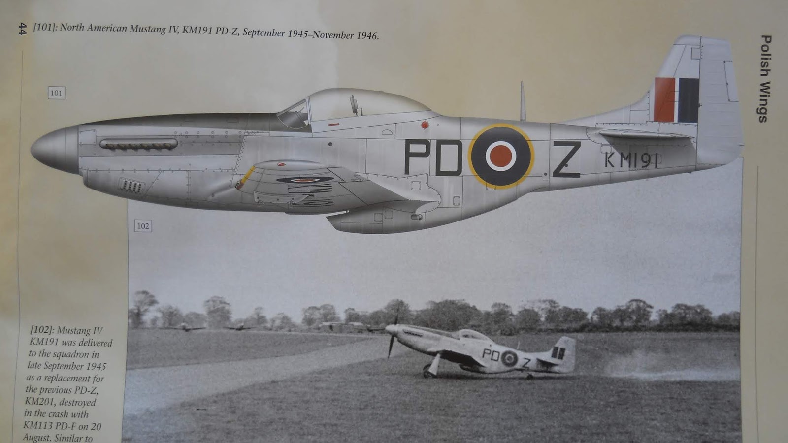 Scale Model Kit Review Blog (SMKR) MMP Books Polish Wings 23 303