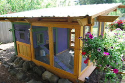 chicken coop run covered