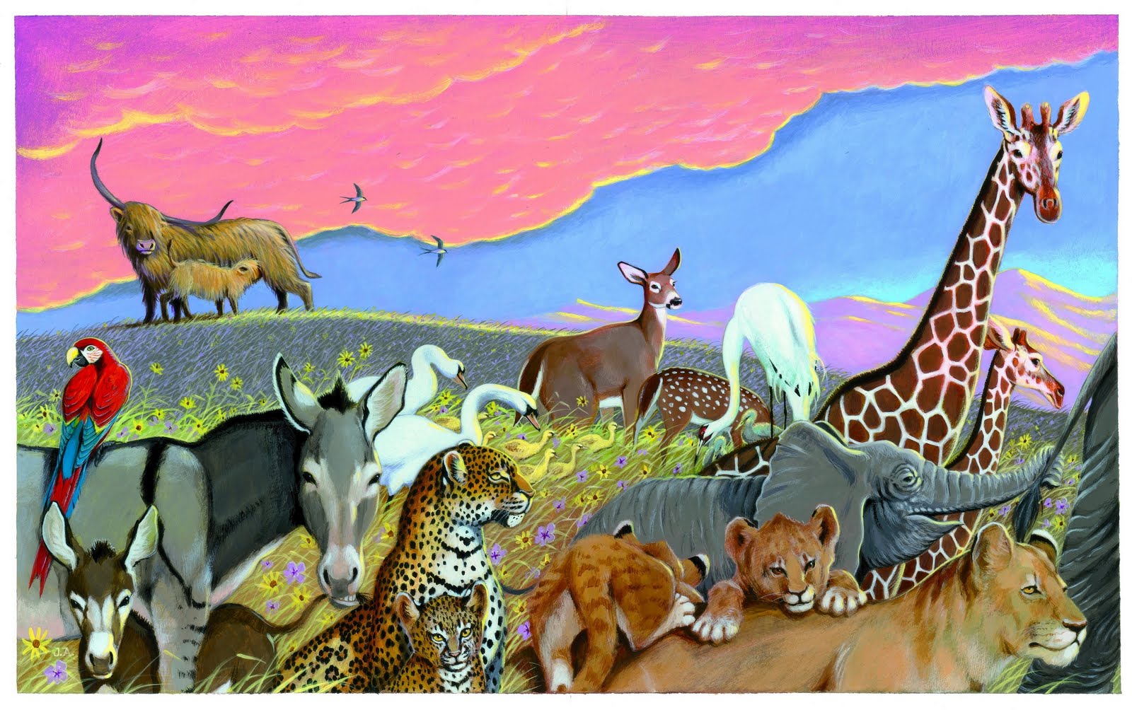all animals photos with names |Zoo Animals