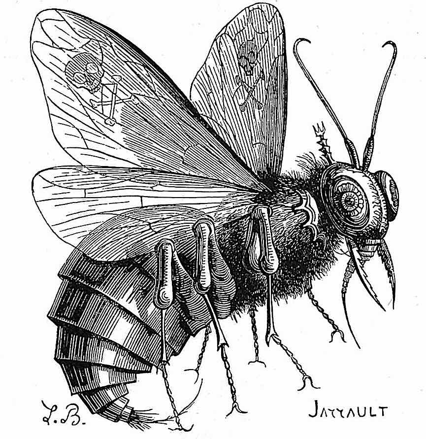 1863 pestilence a drawing of a housefly, an 1863 demon of pestilence in France
