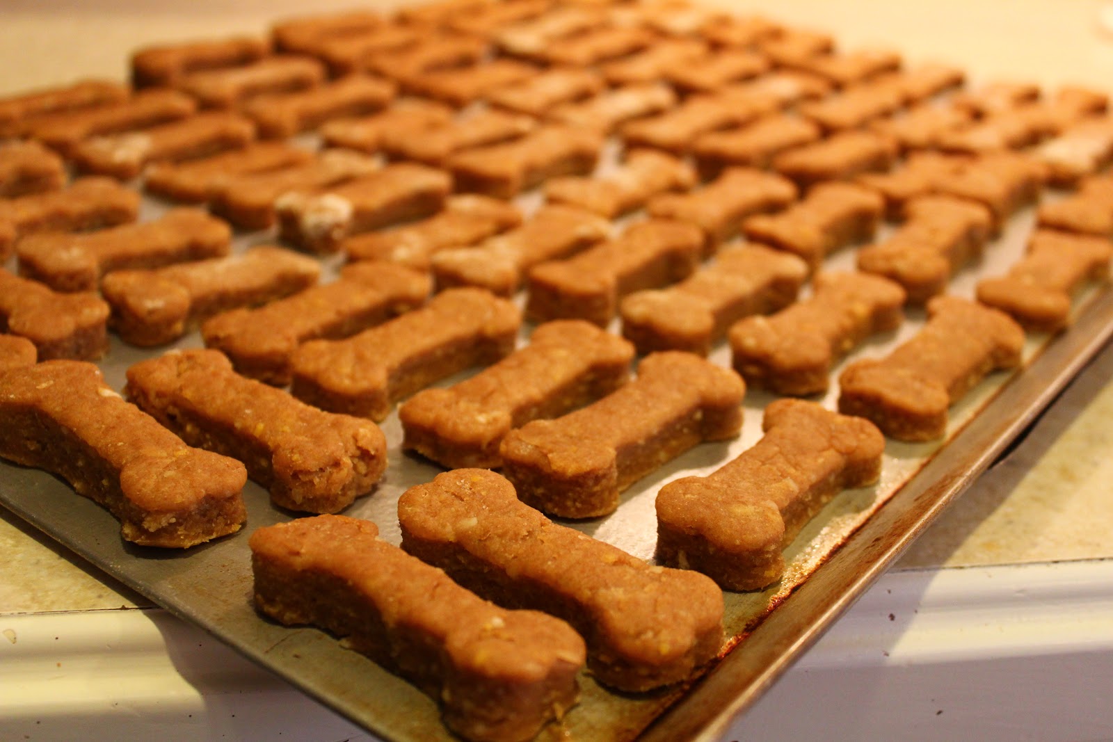 Seeking Simple in the Suburbs How to Make Easy, Simple Dog Biscuits