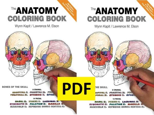 Anatomy Coloring Book Wynn Kapit Pdf Free Download