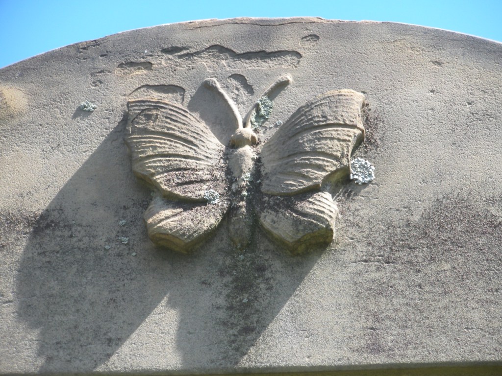 Engraved Bee Hives, Butterflies, Peacocks and Seashells