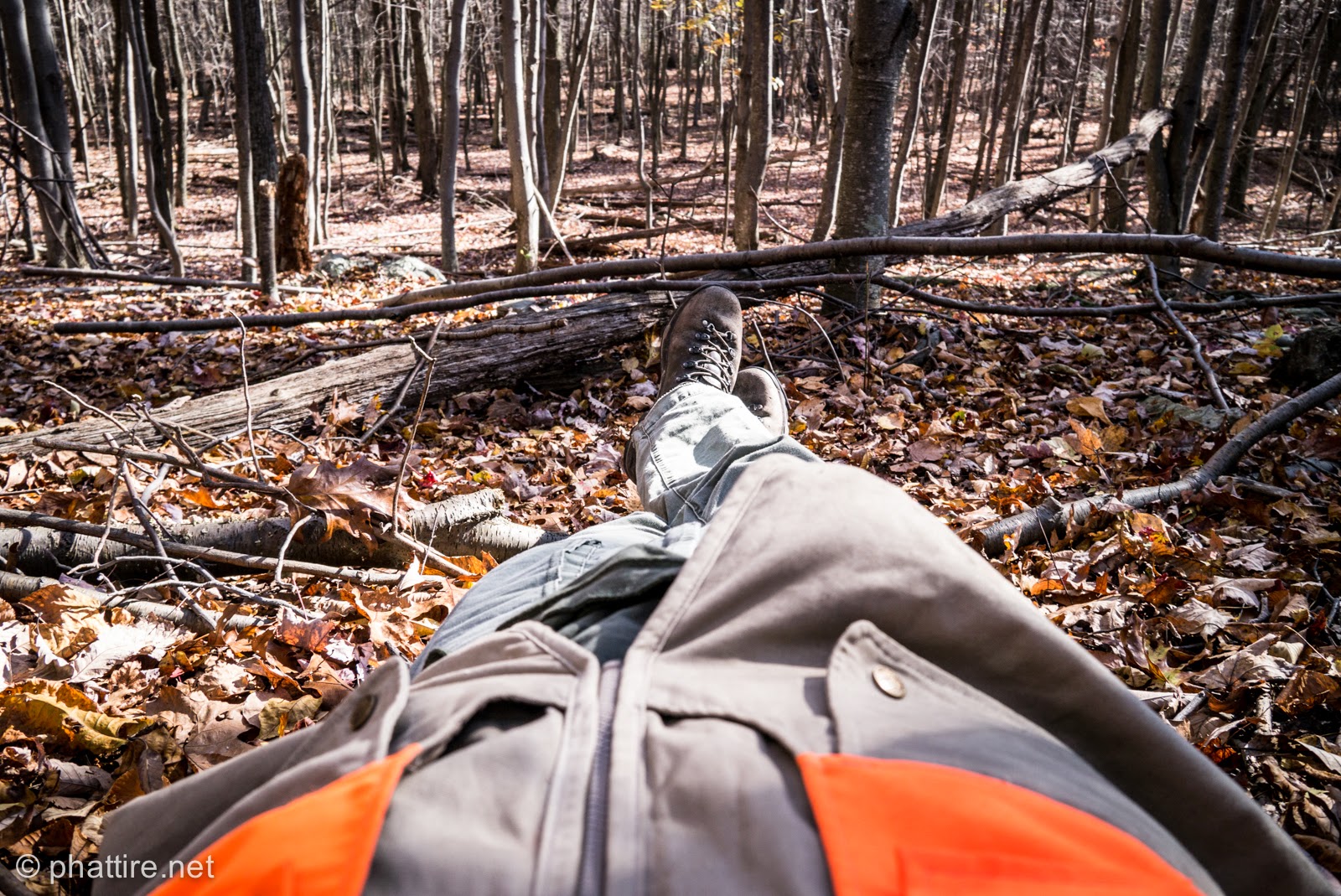 Squirrel Hunting Frederick Watershed