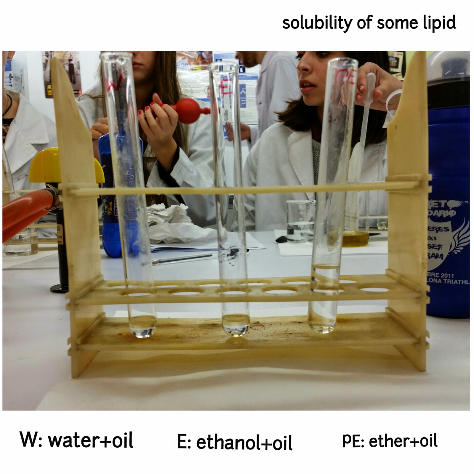 Science Lab L6. Lipids properties