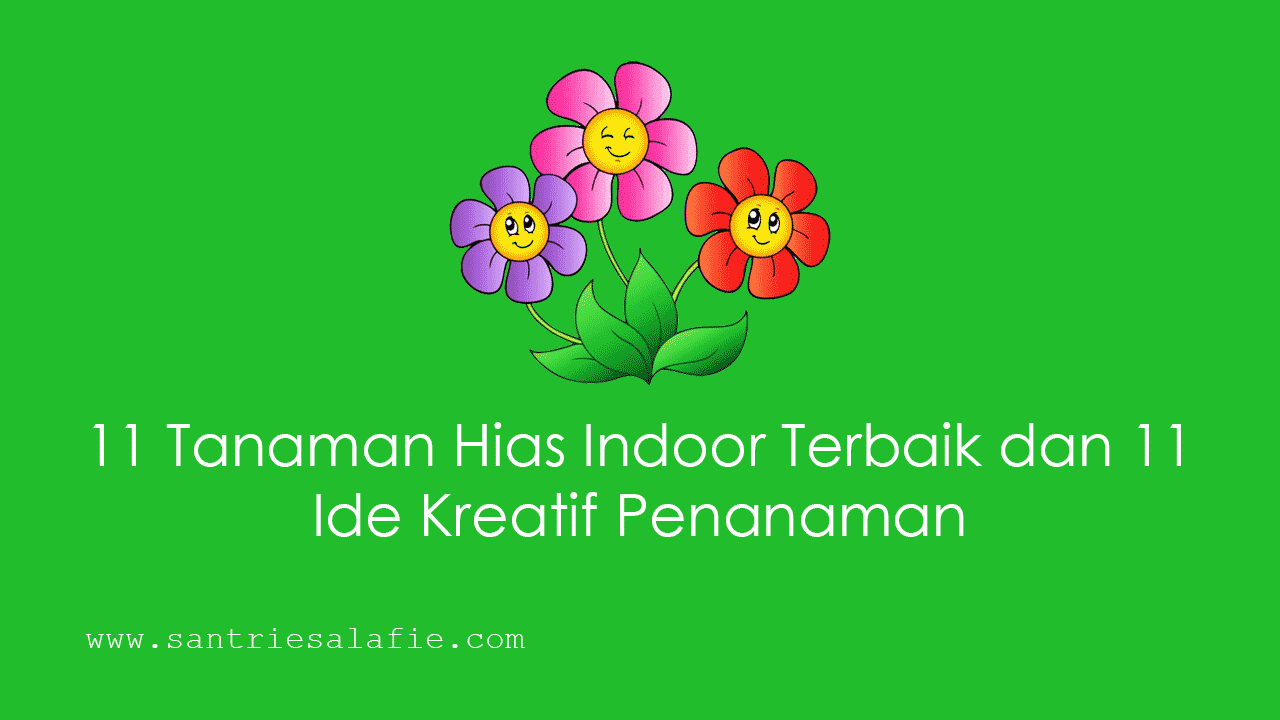 Tanaman Hias Indoor Terbaik dan Ide Kreatif Penanaman by Santrie Salafie