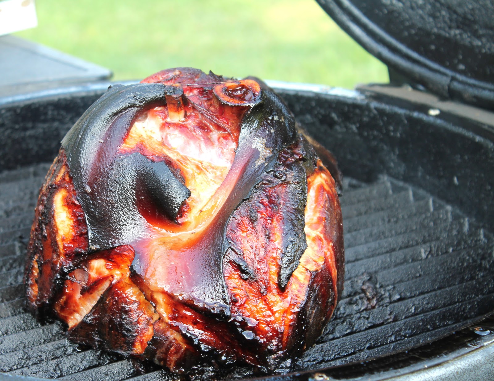 Shank Portion Ham Smoked On The Bubba Keg,Ticks On Dogs
