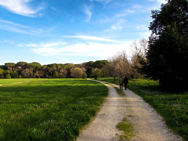 Passeggiando all'interno del parco archeologico...