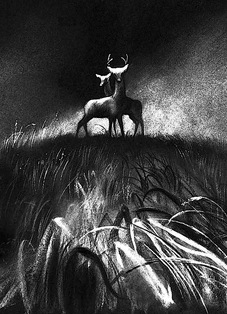 Disney's Bambi A study of wildfire for Disney's Bambi