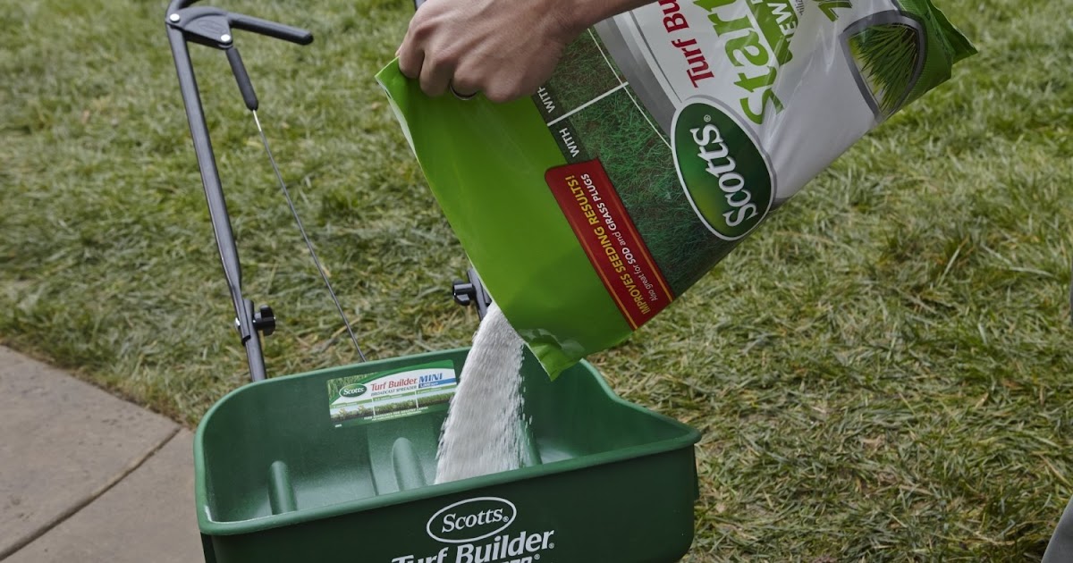 Starter Fertilizer On Established Lawn Best Manual Lawn Aerator