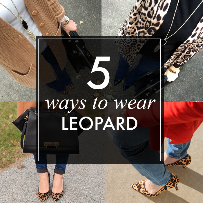 Daily Style Finds: Leopard and Gift Ideas