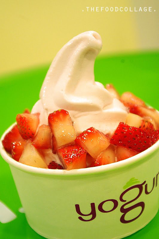 The Food Collage: Yoguru Frozen Yogurt