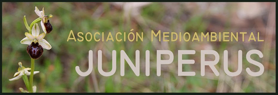 Asociación Medioambiental JUNIPERUS