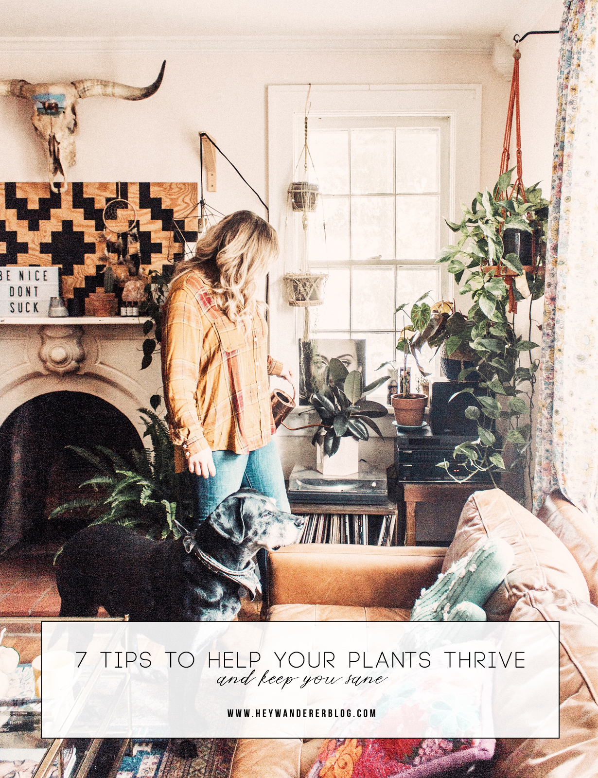 7 Best Tips to Help Your Plants Thrive + Keep You Sane