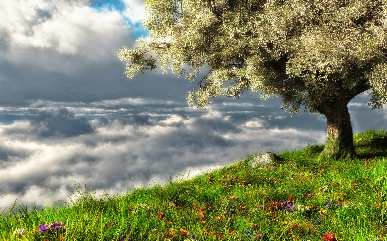 FREE-PHOTOSHOP BACKGROUNDS-HIGH-RESOLUTION WALLPAPERS & TEMPLATES