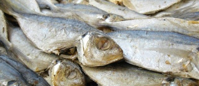 Gambar Ikan Asin Gabus&Peda Belah dan Biasa dari Jenis Ikan Kecil serta Besar