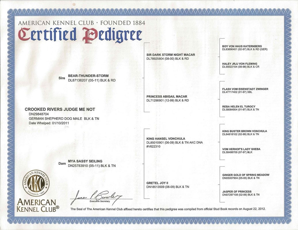 L'UNIVERS DU MONDE CANIN Qu’estce qu’un pedigree et à quoi sertil