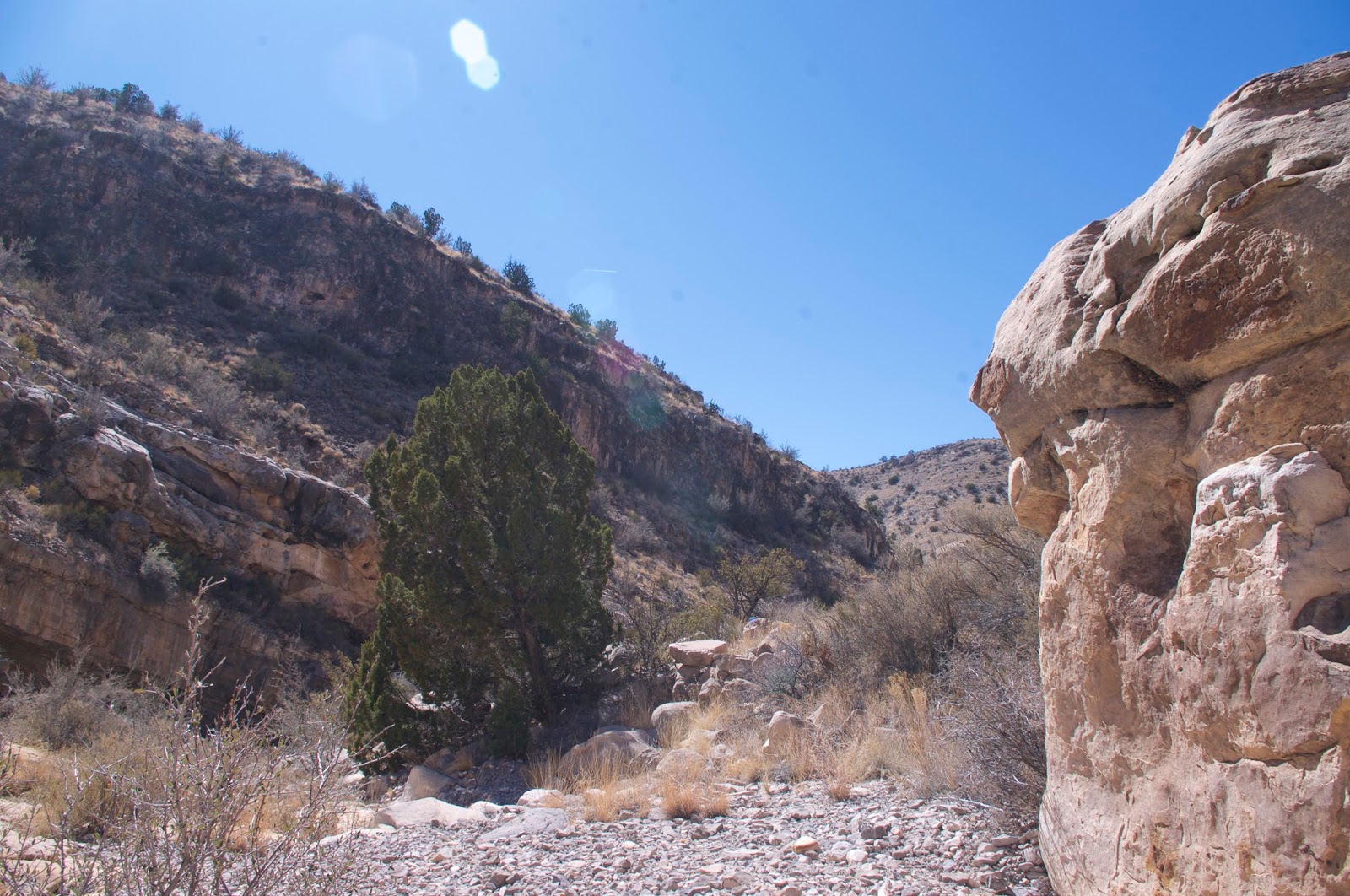Southern New Mexico Explorer Cañoncito de la Uva Stallion Wilderness Study Area