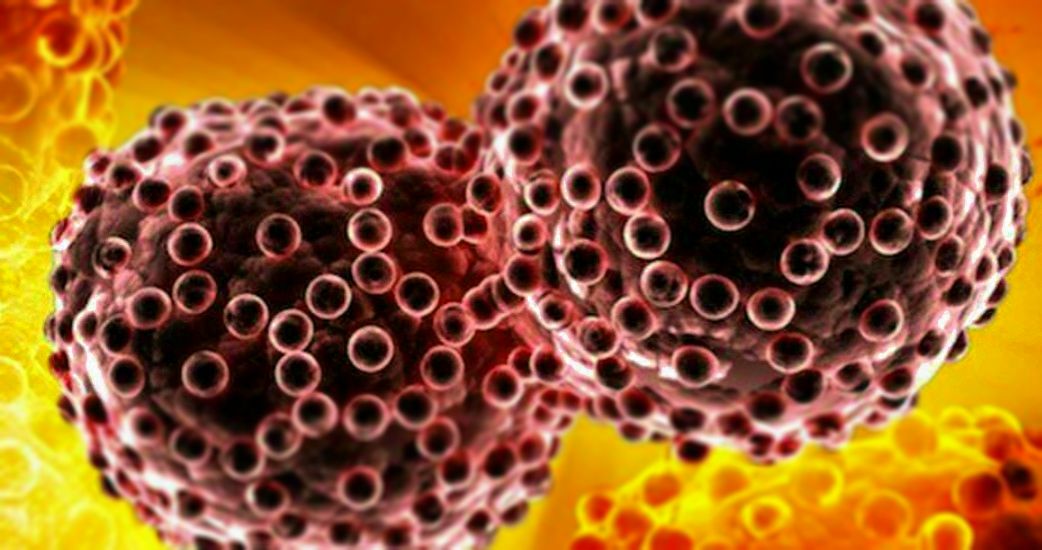 Leprosy Various Medicinal Plants