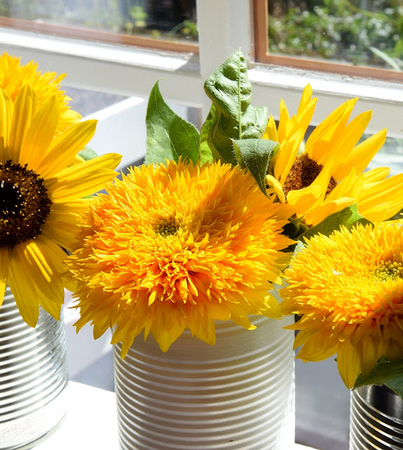 Sonnenblumen, Äpfel und Windlichter in einem Eiseneimer