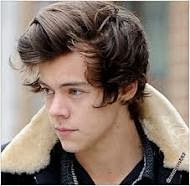 Harry Styles Trivia