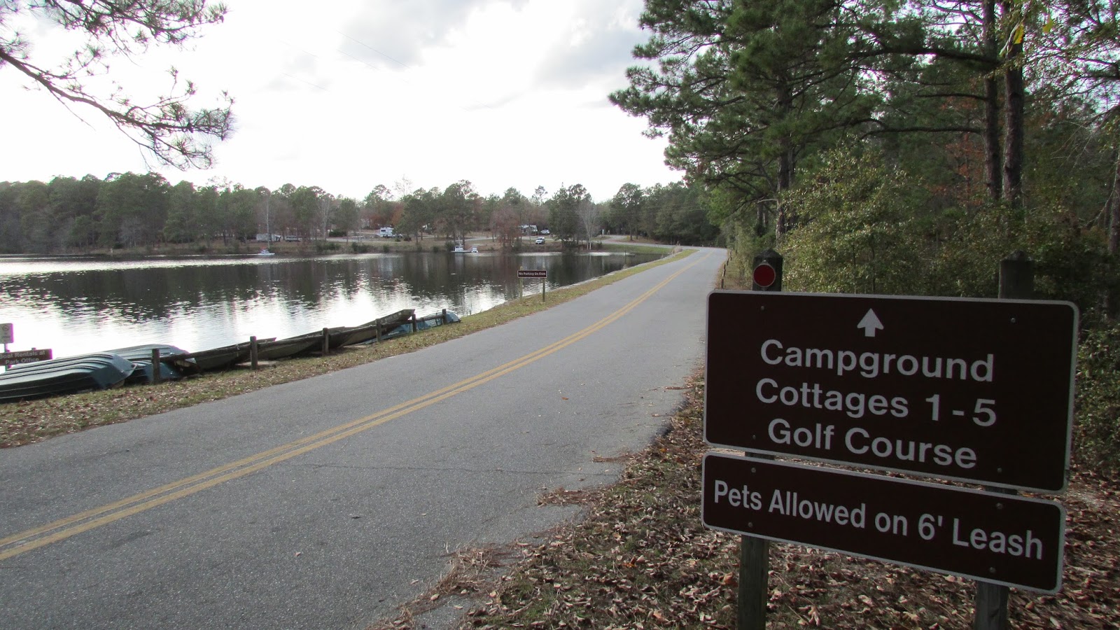Adventures Of Toaster Gordonia Alatamaha State Park, Reidsville, GA.