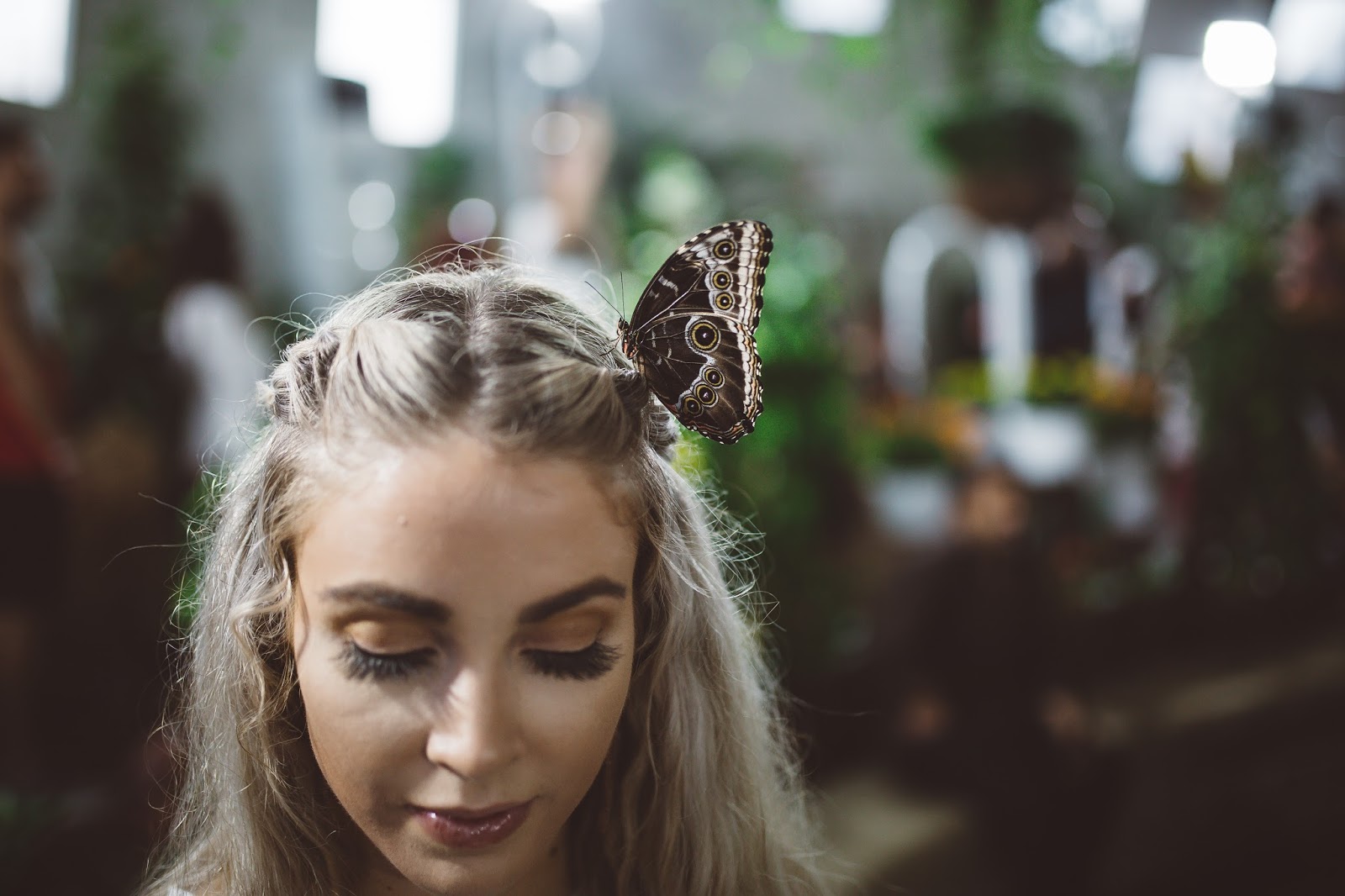 Butterfly Kisses Cara Loren