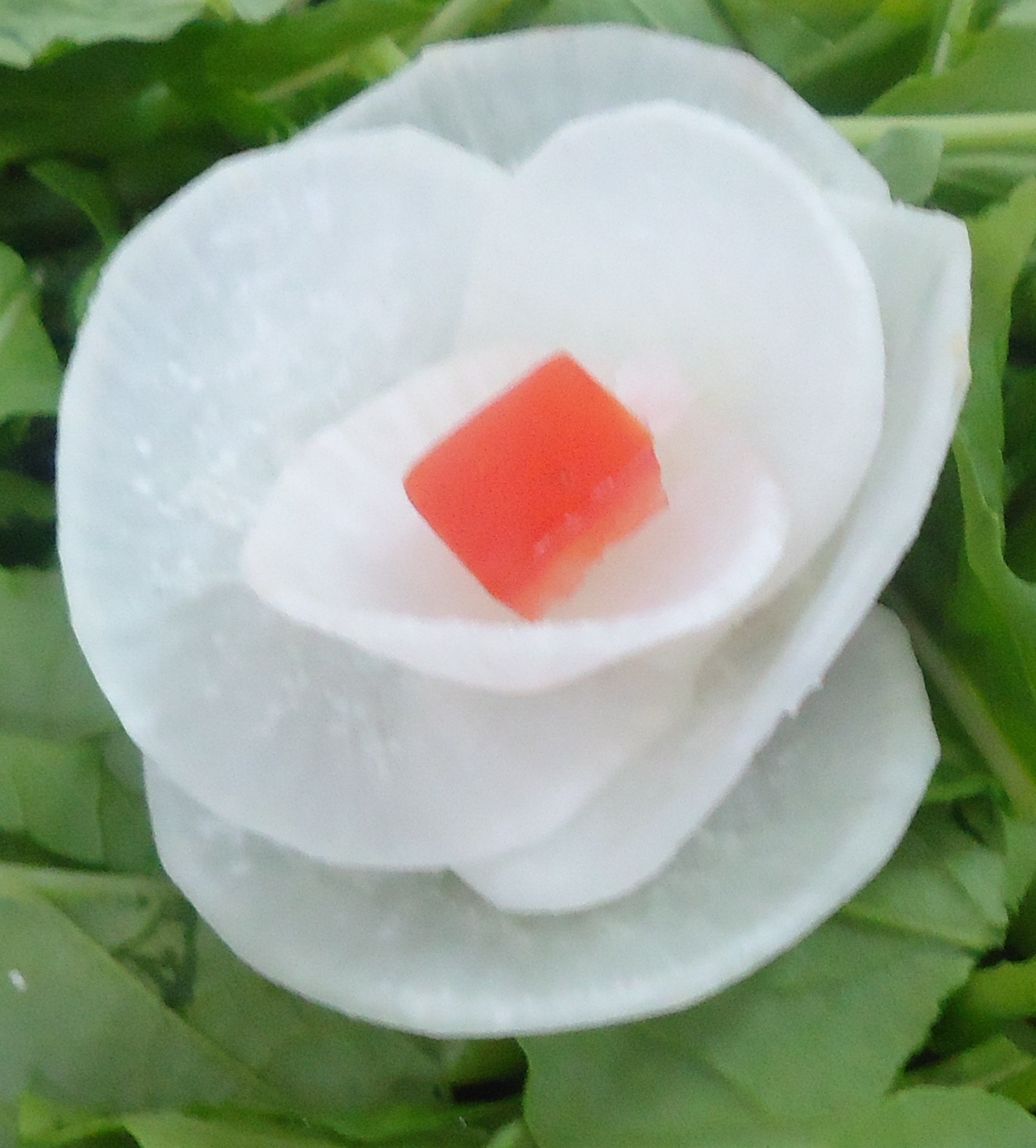 Mely's kitchen Radish Flower ( Food Decoration)