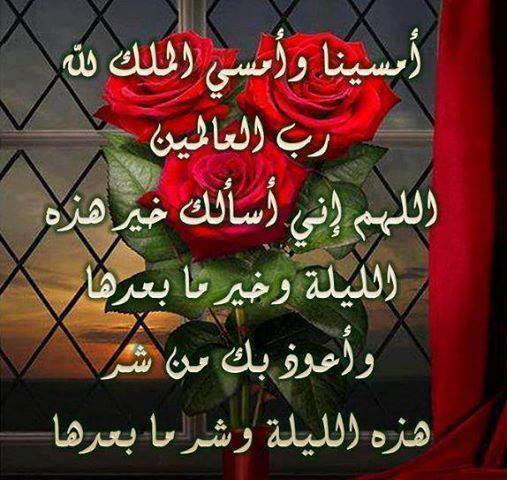 صور مساء الخير