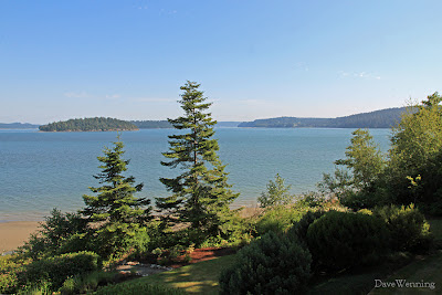 Bald Eagle Habitat
