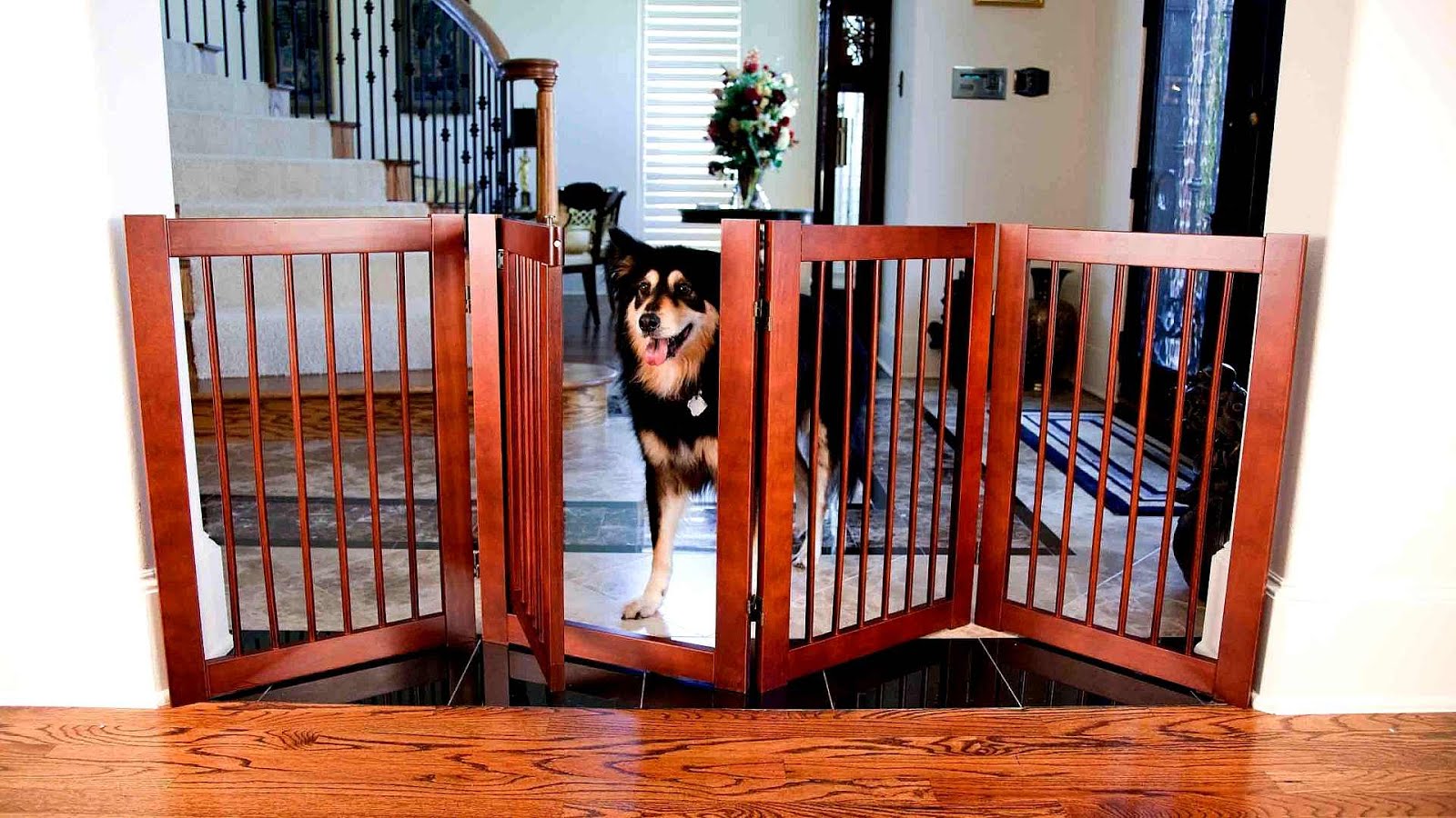 Indoor Dog Barriers Dog Choices