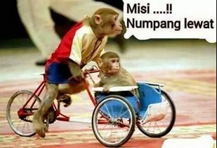 Yang Kadang Berupa Gambar Lucu Numpang Lewat Sindiran Untuk Tokoh Tokoh Terkenal Yang Sedang Bermasalah Bahan Candaan Pun Tak Hanya Tentang Hal Yang Bisa Yang Kadang Berupa Gambar Lucu Numpang Lewat Sindiran Untuk Tokoh Tokoh Terkenal Yang Sedang Bermasalah Bahan Candaan Pun Tak Hanya Tentang Hal Yang Bisa