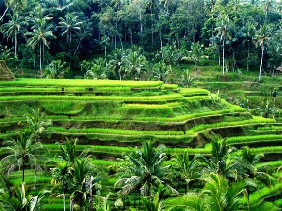 Bali things to do 50