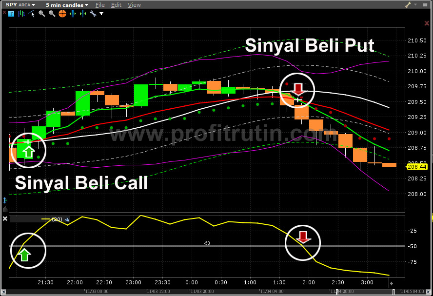 Software untuk trading option