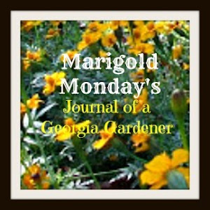 Marigold Mondays