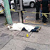 Captan en VIDEO el momento en que un joven asesina a balazos a un señor de 60 años en Naucalpan
