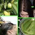 Guava Leaves: How To Grow Your Hair Extremely Fast And Stop Hair Loss In A Week