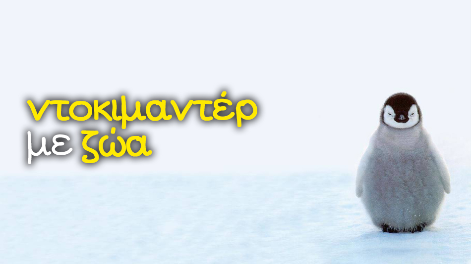 Ντοκιμαντέρ και Εκπαιδευτικά Προγράμματα με Zώα Ντοκιμαντέρ και Εκπαιδευτικά Προγράμματα με Zώα