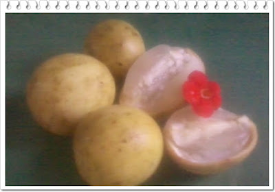 manfaat buah duku manfaat buah duku untuk ibu hamil