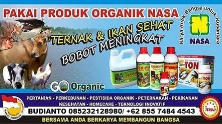 Agen Resmi Pupuk - Vitamin Ternak NASA DI Bula Barat Seram Bagian Timur 085232128980 Agen Resmi Pupuk - Vitamin Ternak NASA DI Bula Barat Seram Bagian Timur 085232128980