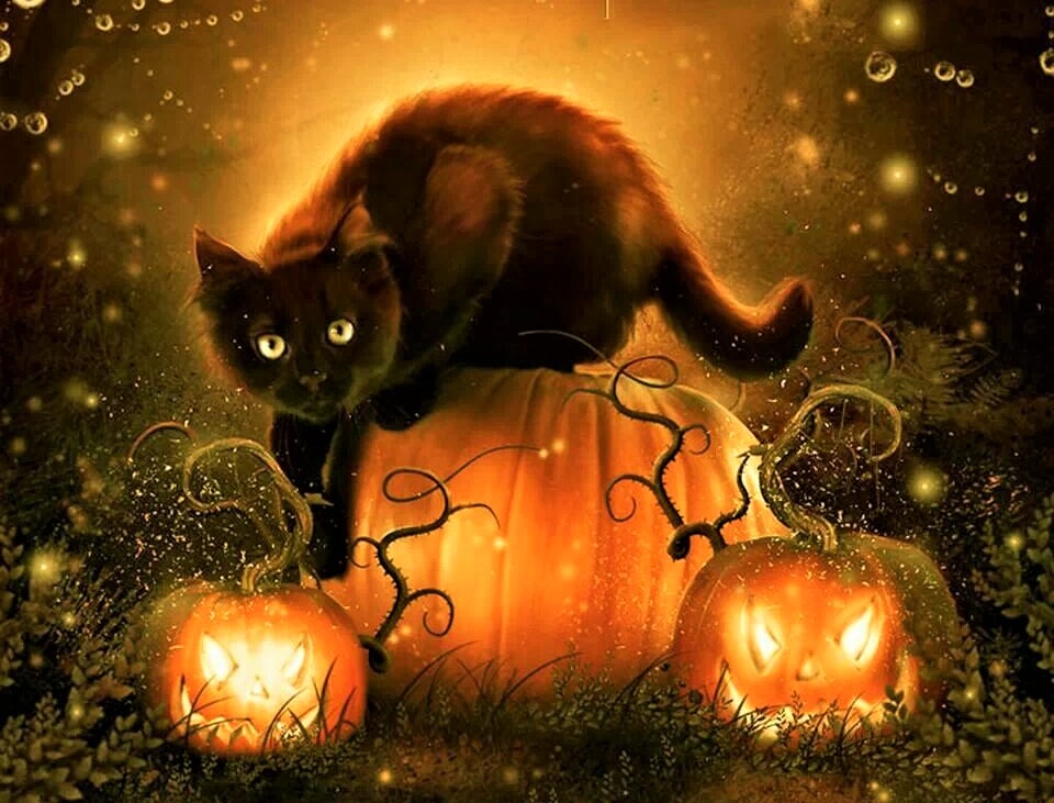 Bonnie Cehovet All Hallows' Eve Reading