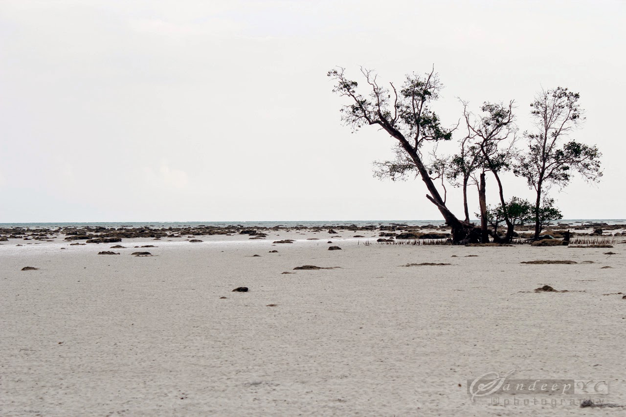White sandy beach White sandy beach