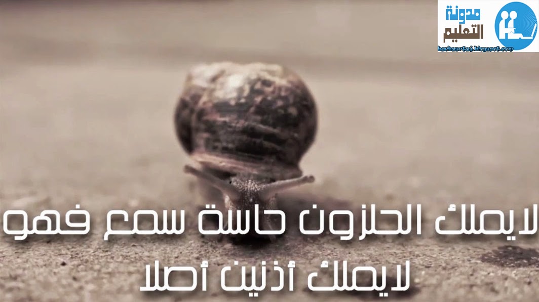 معلومات غريبة و مدهشة عن الحيوانات