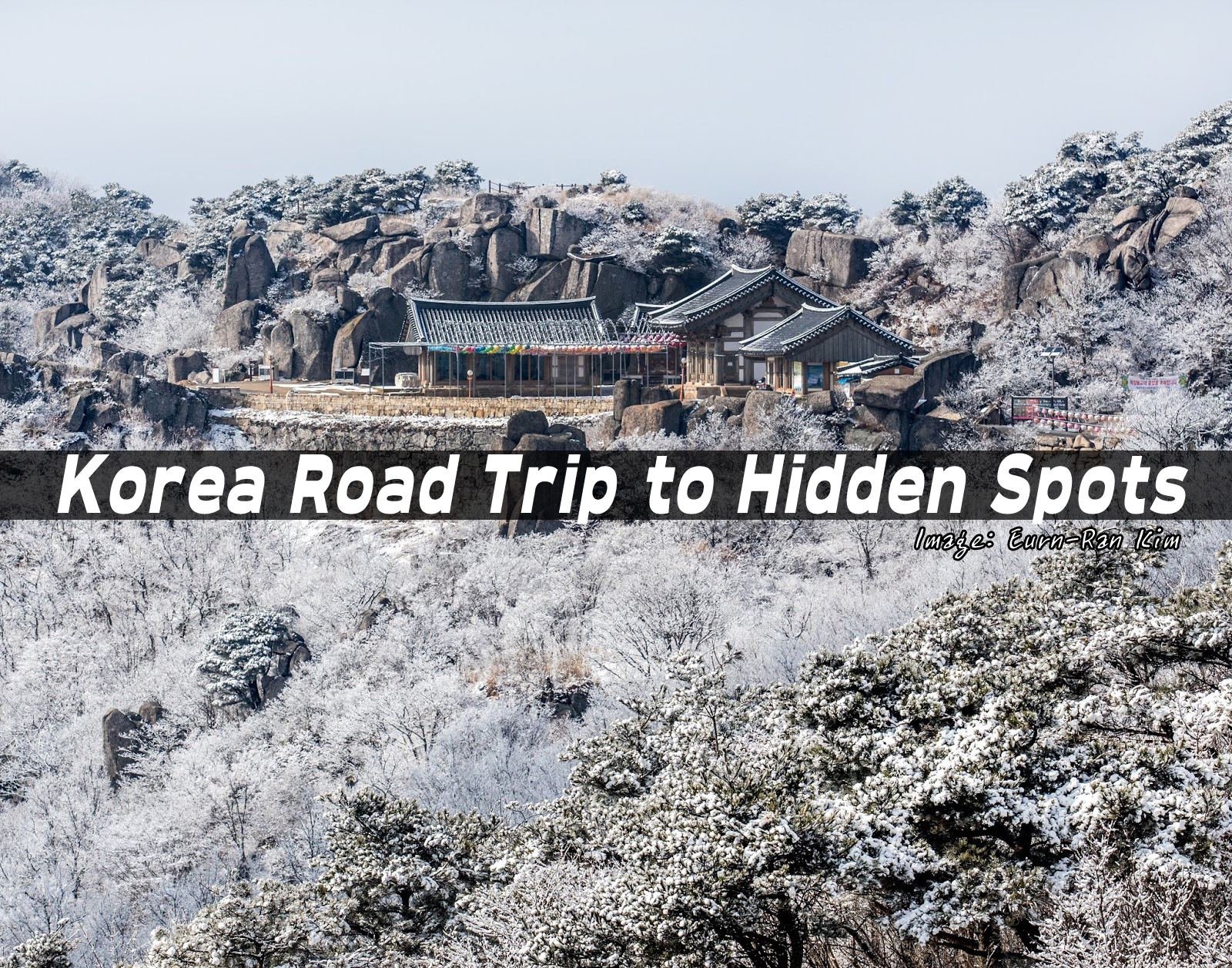 road trip korea blog